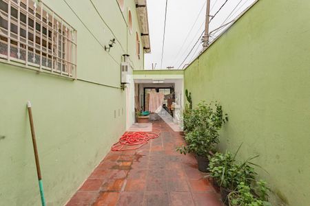 Casa à venda com 250m², 3 quartos e 5 vagasQuintal
