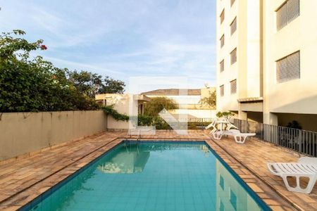 Área comum de apartamento para alugar com 2 quartos, 70m² em Vila Ipojuca, São Paulo