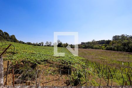 Casa de condomínio para alugar com 250m², 4 quartos e 4 vagas Casa de condomínio para alugar com 250m², 4 quartos e 4 vagasSala de jantar - varanda - vista