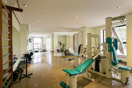 Apartamento à venda com 277m², 4 quartos e 4 vagasÁrea comum - Academia