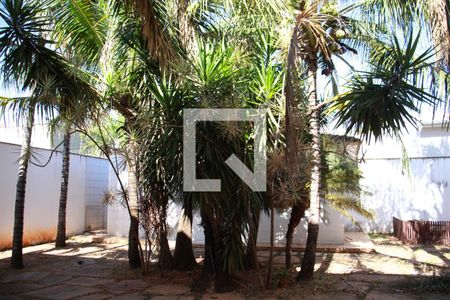 Casa para alugar com 417m², 3 quartos e 3 vagasJardim