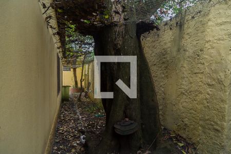 Casa à venda com 110m², 3 quartos e 2 vagas Casa à venda com 110m², 3 quartos e 2 vagasQuintal - Corredor