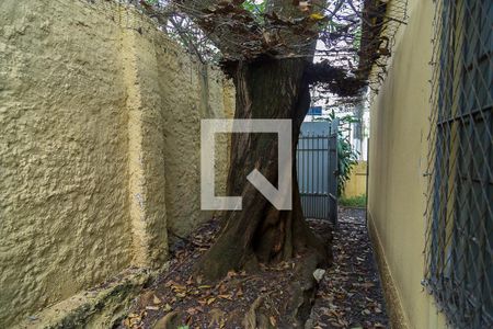 Casa à venda com 110m², 3 quartos e 2 vagas Casa à venda com 110m², 3 quartos e 2 vagasQuintal - Corredor