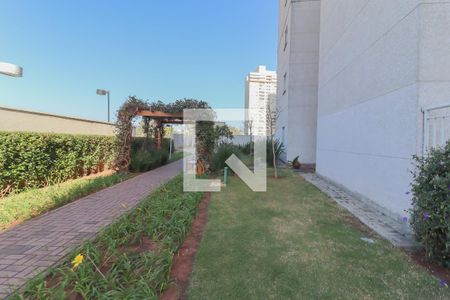 Apartamento para alugar com 52m², 2 quartos e 1 vaga Apartamento para alugar com 52m², 2 quartos e 1 vagaÁrea comum