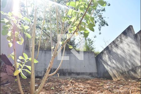 Casa para alugar com 76m², 2 quartos e 1 vagaQuintal