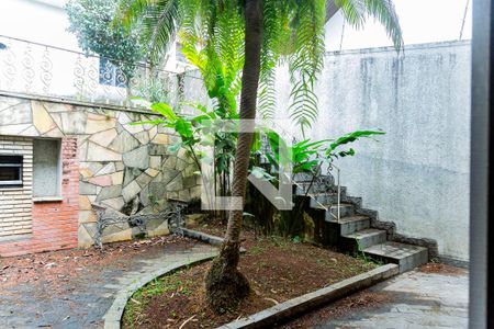 Casa para alugar com 530m², 4 quartos e 4 vagasQuintal/Churrasqueira