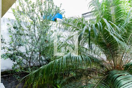 Casa para alugar com 530m², 4 quartos e 4 vagasVista da Suíte 3