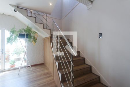 Escada de casa à venda com 4 quartos, 248m² em Chácara das Pedras, Porto Alegre