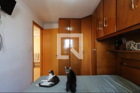 Quarto 1 de apartamento para alugar com 2 quartos, 50m² em Jardim Andaraí, São Paulo