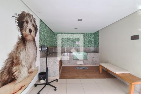Apartamento à venda com 56m², 2 quartos e 1 vagaÁrea comum - Pet