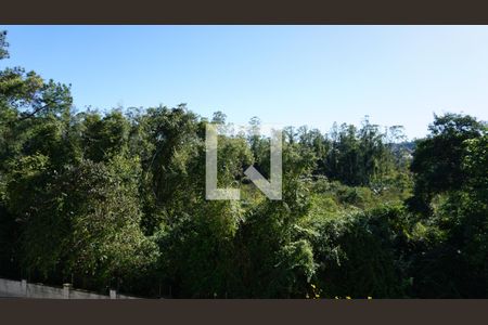 Apartamento para alugar com 50m², 2 quartos e 1 vagaVista Quarto 2