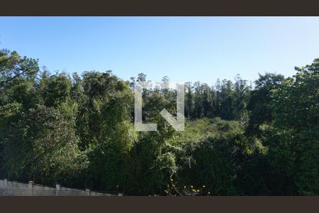 Vista Sala de apartamento para alugar com 2 quartos, 50m² em Operário, Novo Hamburgo