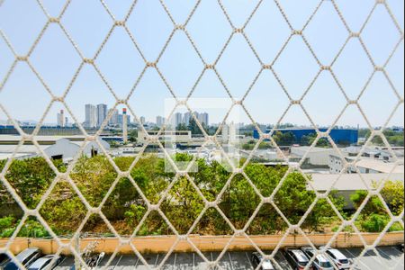 Vista do Quarto 1 de apartamento para alugar com 2 quartos, 48m² em Vila Venditti, Guarulhos