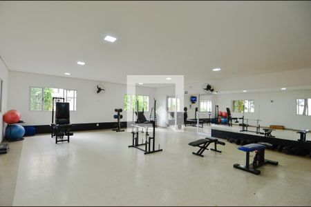 Apartamento para alugar com 48m², 2 quartos e 1 vaga Apartamento para alugar com 48m², 2 quartos e 1 vagaAcademia