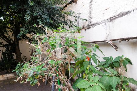 Casa à venda com 250m², 4 quartos e 2 vagas Casa à venda com 250m², 4 quartos e 2 vagasÁrea de Serviço