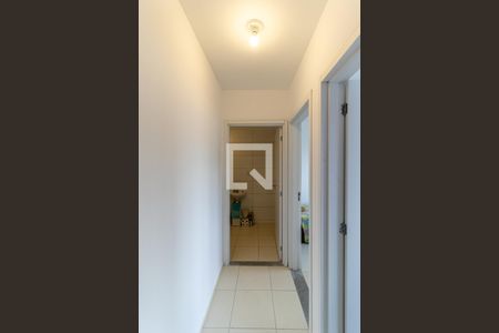 Corredor de apartamento para alugar com 2 quartos, 51m² em Campos Elíseos, São Paulo