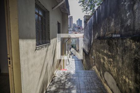 Corredor de casa para alugar com 2 quartos, 42m² em Vila Prudente, São Paulo