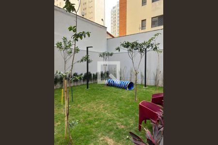 Apartamento para alugar com 32m², 1 quarto e sem vaga Apartamento para alugar com 32m², 1 quarto e sem vagaÁrea comum - Petplace