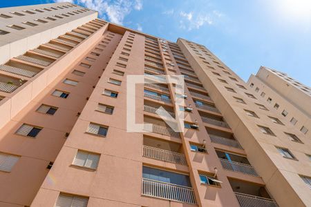 Apartamento à venda com 74m², 3 quartos e 2 vagasÁrea comum