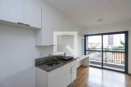Cozinha de apartamento para alugar com 1 quarto, 33m² em Ipiranga, São Paulo