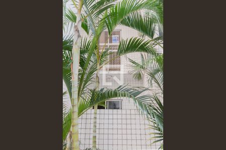 Apartamento para alugar com 65m², 3 quartos e 1 vaga Apartamento para alugar com 65m², 3 quartos e 1 vagaFachada