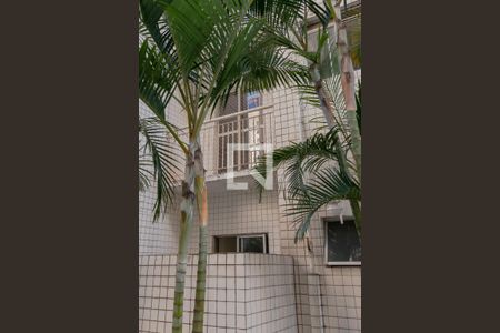 Apartamento para alugar com 65m², 3 quartos e 1 vaga Apartamento para alugar com 65m², 3 quartos e 1 vagaFachada