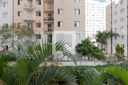 Apartamento para alugar com 65m², 3 quartos e 1 vaga Apartamento para alugar com 65m², 3 quartos e 1 vagaVista