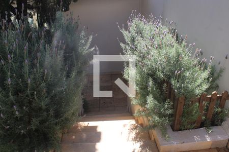 Casa à venda com 360m², 4 quartos e 4 vagasÁrea Comum