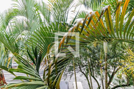 Vista Sala de apartamento para alugar com 2 quartos, 64m² em Jardim Dom Bosco, São Paulo