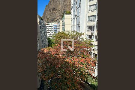Apartamento à venda com 206m², 4 quartos e 1 vagaQuarto 03 - Vista