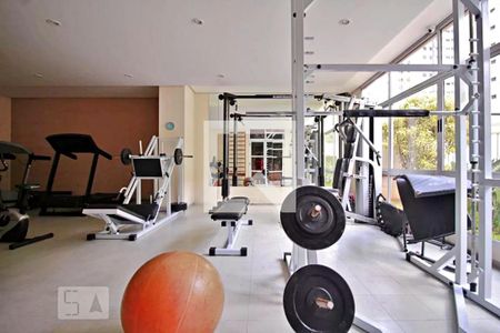 Apartamento à venda com 59m², 2 quartos e 1 vaga Apartamento à venda com 59m², 2 quartos e 1 vagaÁrea comum - Academia