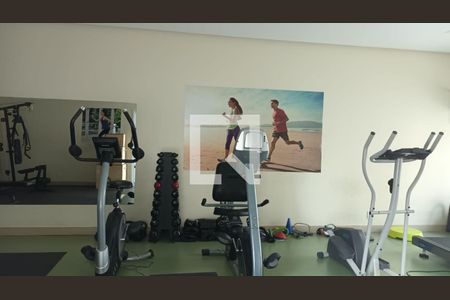 Apartamento à venda com 116m², 3 quartos e 2 vagas Apartamento à venda com 116m², 3 quartos e 2 vagasAcademia