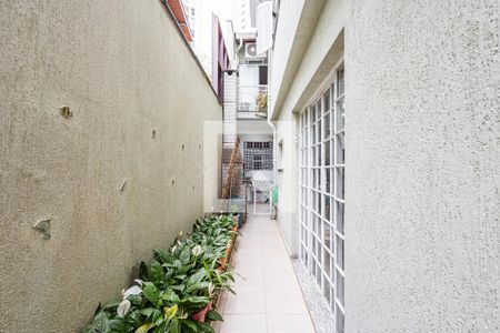 Casa para alugar com 180m², 4 quartos e 2 vagas Casa para alugar com 180m², 4 quartos e 2 vagasQuintal