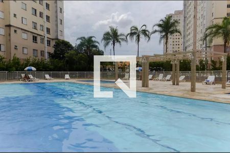 Apartamento para alugar com 45m², 2 quartos e 1 vaga Apartamento para alugar com 45m², 2 quartos e 1 vagaPiscina