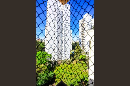 Apartamento à venda com 318m², 3 quartos e 3 vagasSuíte - Vista