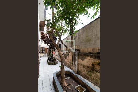 Casa para alugar com 450m², 6 quartos e 2 vagas Casa para alugar com 450m², 6 quartos e 2 vagasQuintal