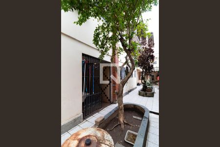 Casa para alugar com 450m², 6 quartos e 2 vagas Casa para alugar com 450m², 6 quartos e 2 vagasQuintal