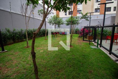 Apartamento para alugar com 30m², 1 quarto e sem vaga Apartamento para alugar com 30m², 1 quarto e sem vagaArea Comum - Pet Place