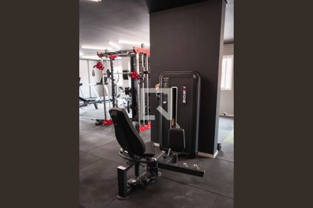 Apartamento para alugar com 81m², 2 quartos e 1 vaga Apartamento para alugar com 81m², 2 quartos e 1 vagaÁrea comum - Academia