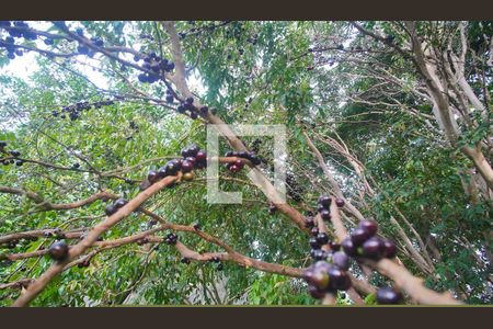 Casa à venda com 450m², 3 quartos e 2 vagasÁrea externa