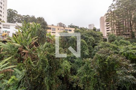 Vista Quarto  de apartamento para alugar com 1 quarto, 40m² em Jardim Ampliacao, São Paulo