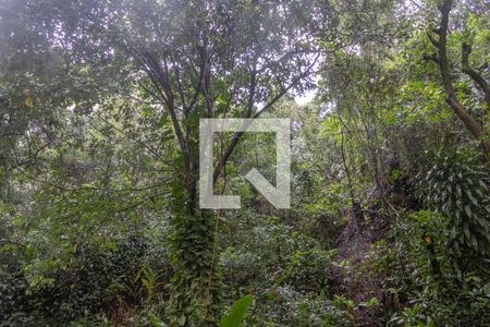 Jardim de apartamento para alugar com 1 quarto, 70m² em Laranjeiras, Rio de Janeiro