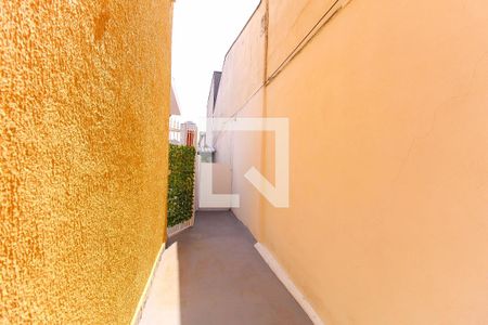 Casa para alugar com 120m², 3 quartos e 1 vaga Casa para alugar com 120m², 3 quartos e 1 vagaQuintal