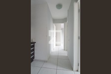 Corredor  de apartamento à venda com 2 quartos, 55m² em Residencial Parque da Fazenda, Campinas