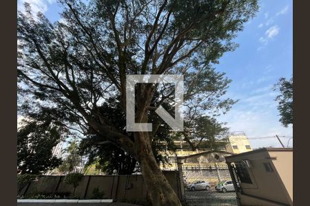 Fachada de apartamento para alugar com 3 quartos, 76m² em Vila Rossi, Campinas