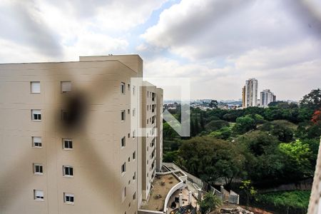 Varanda - Vista de apartamento para alugar com 3 quartos, 80m² em Morumbi, São Paulo