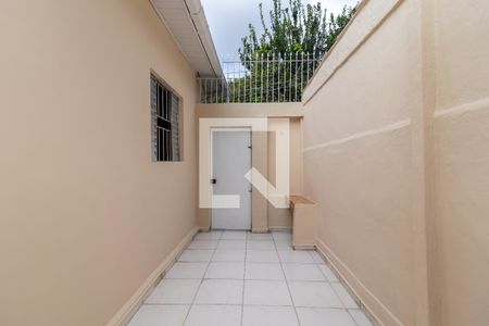 Apartamento para alugar com 40m², 1 quarto e sem vagaQuintal