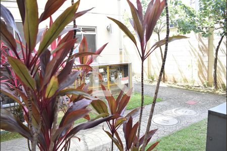 Vista da Sala de apartamento para alugar com 2 quartos, 40m² em Campo Grande, Rio de Janeiro