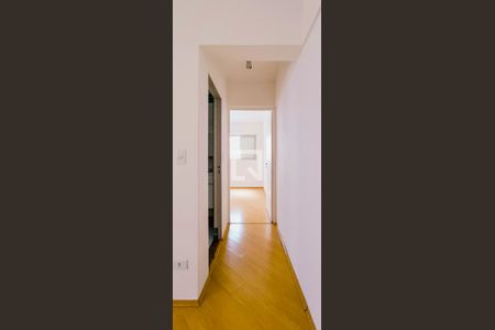 Corredor de apartamento para alugar com 1 quarto, 43m² em Perdizes, São Paulo