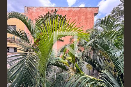 Apartamento à venda com 220m², 3 quartos e 2 vagasVista da suite